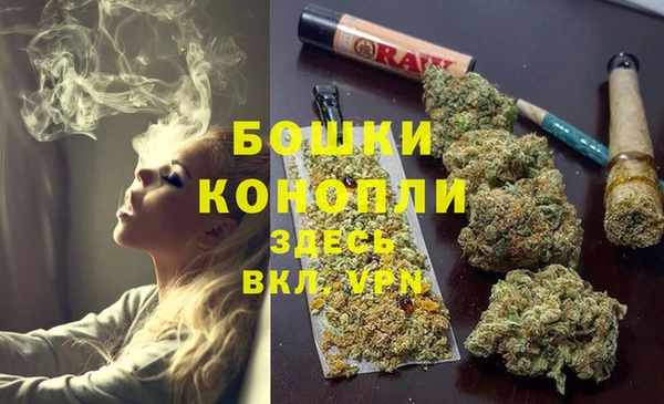гидра Долгопрудный