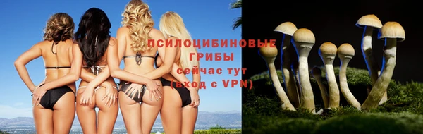 mdpv Куйбышев