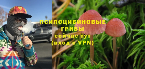 твердый Краснотурьинск