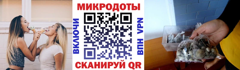 Псилоцибиновые грибы мухоморы  наркотики  Красный Сулин 