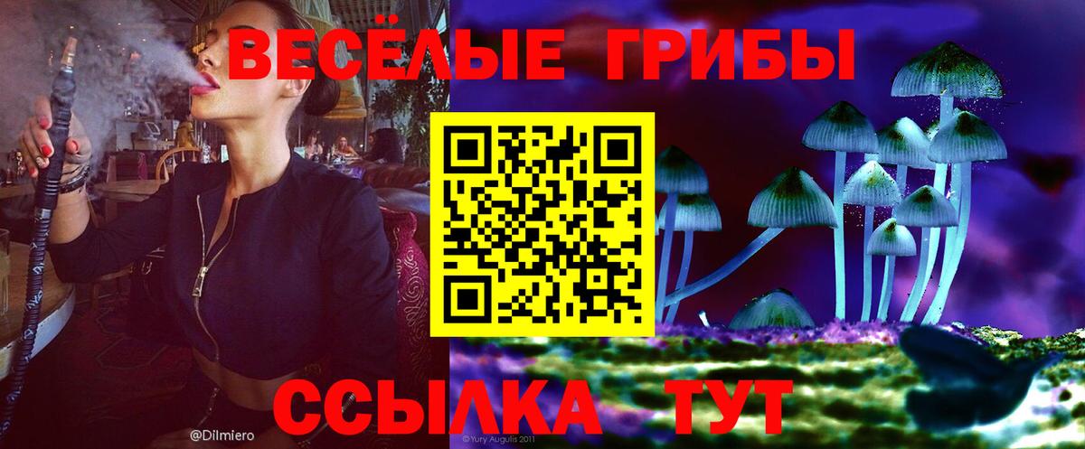 Псилоцибиновые грибы MAGIC MUSHROOMS Красный Сулин